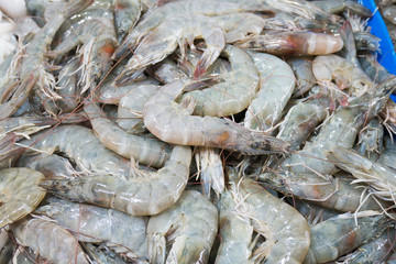 Vannamei Pacific white Shrimp in fresh market