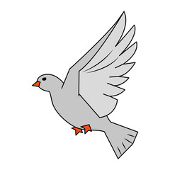 Dove bird symbol