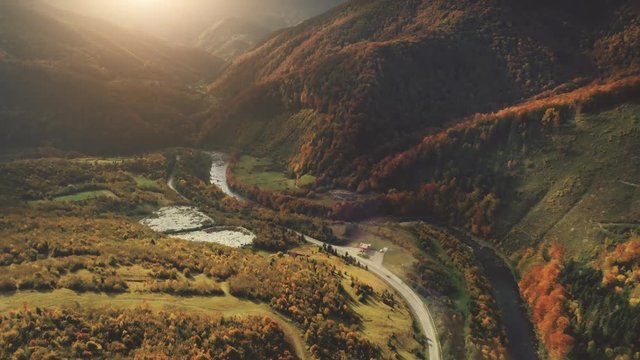 Aerial View Drone Flight over fantastic canyon mountain river. Dramatic autumn nature landscape. Green meadows, orange hills, pine tree forests against sunset sky. Carpathians, Ukraine, Europe. 4K