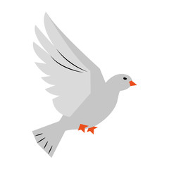 Dove bird symbol