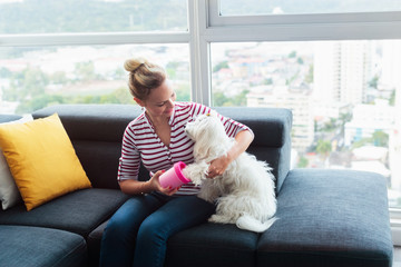 Dog Owner Cleaning Paws To Little Pet At Home