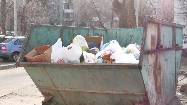 Trash bins on street