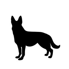 Black silhouette of german shepherd dog standig sideway