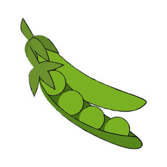 Fresh peas vegetable