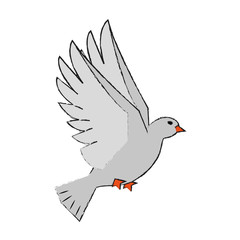 Fototapeta premium Dove bird symbol