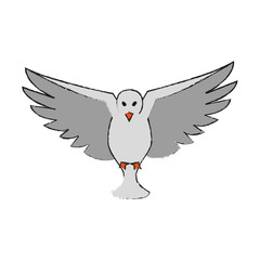 Dove bird symbol
