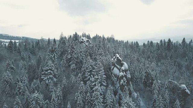 Winter in Carpathian Mountains. High-altitude aerial shot.