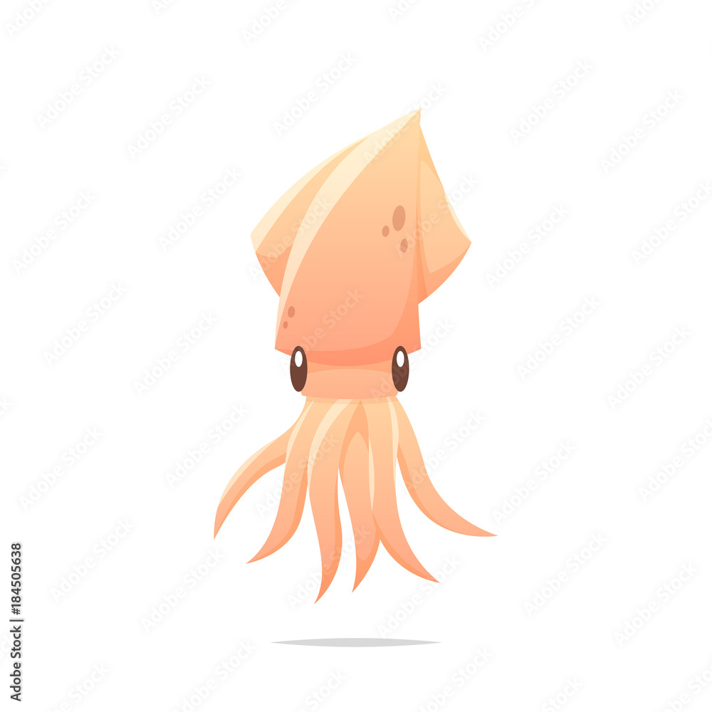 Wall mural squid vector isolated illustration