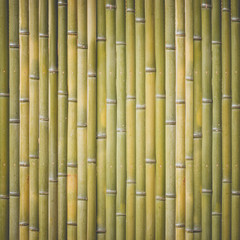 Wood bamboo fence pattern and seamless background