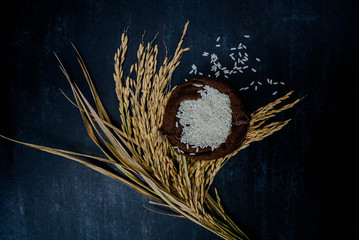 Thailand Rice on wooden table, rice in sackcloth and rice paddy on black wood,rice in sack,white rice in burlap sack with rice grain on the black wood