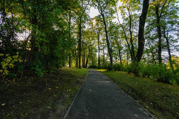 Obraz premium empty road in the countryside in summer. gravel surface