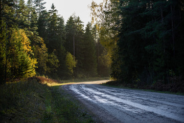 empty road in the countryside in autumn. gravel surface