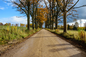 Fototapeta na wymiar empty road in the countryside in autumn. gravel surface