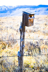 Birdhouse 2