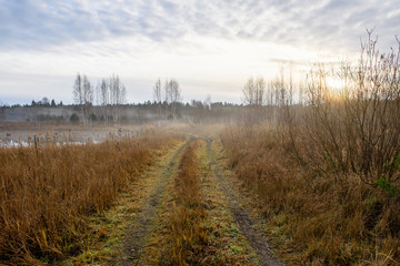 empty tractor road in the countryside in autumn. gravel surface