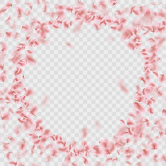 Sakura petals circle frame isolated on transparent background. EPS 10 vector