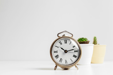 Cactus flowerpot and white alarm clock