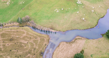 Farming field in Tasmania, Australia