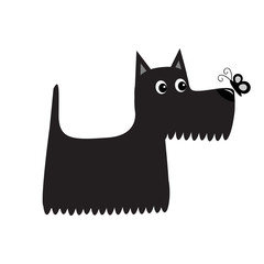 Scottish terrier black dog looking to butterfly insect. Scottie puppy. Cute cartoon character. Pet animal collection. Adopt concept. Flat design. White background. Isolated.