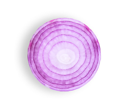 red onion half cut isolated on white background, flat lay, top view
