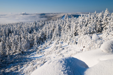 Fototapeta na wymiar Winterlandschaft im Erzgebirge
