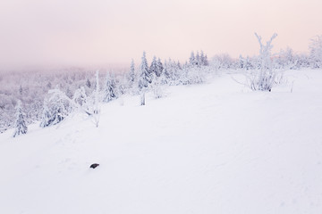 Winterlandschaft im Morgenlicht