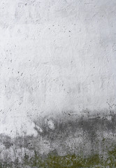 Old concrete wall, covered with green mold