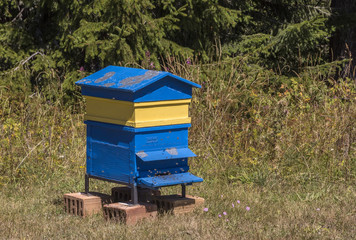 Wooden yellow and blue Bee hive , beehive