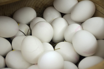 Boiled chicken eggs white color in basket for travelers people eat at restaurant room