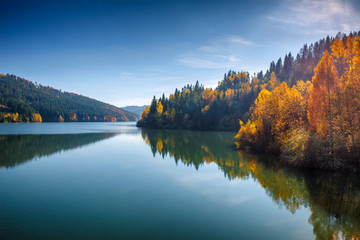 Mirroring multicolored trees on the lake in autumn.