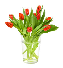 Obraz premium Red tulips in clay vase solated on white background