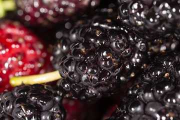 black mulberry berry as a background