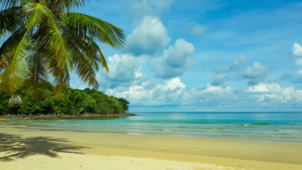 Fototapeta na wymiar Beautiful tropical beach and very nice beach for relaxation, Breathtaking white sandy with coconut palm tree at Koh Kood Island, Koh Kood Island wear Located Trat province Thailand.