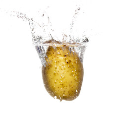 potatoes in water isolated on white background
