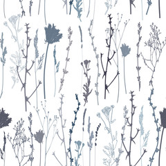 Meadow grasses, herbs and flowers outlines vector seamless pattern.