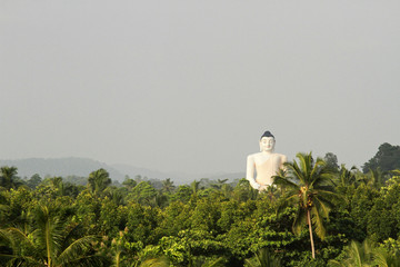 Buddha in the jungle, close to Colombo, Sri Lanka