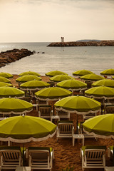 Symmetric array of green umbrellas on at beach