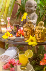 coin zen extérieur, décor spa, soins du corps et massages 