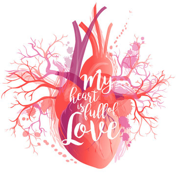 Vector lettering realistic Human heart