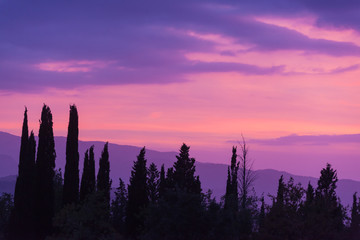 Mystic violet sunset over the Tuscany hills with silhouettes of trees in the foreground, Italy