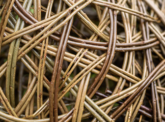 Woven willow background. © hubb67