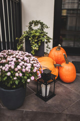 Big pumpkins, candles, wooden boxes and chrysanthemums stand near the front door. Autumn decoration