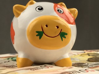 Piggy bank