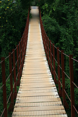 Fototapeta na wymiar Suspension Bridge over Kelani River, Kitulgala, Sri Lanka