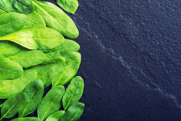 fresh green baby spinach