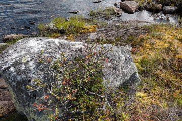 autumn at the mountain lake