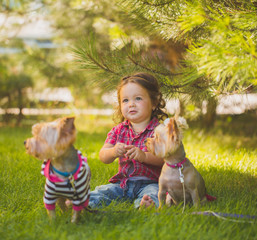 Baby girl and two yorkshire terrier