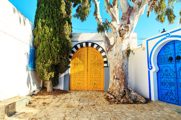 Traditional blue doors  in Sidi Bou Said.