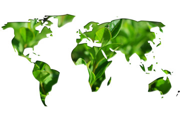 Mapa del mundo con hojas verdes.