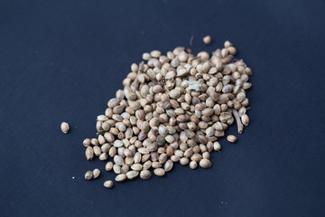 Cannabis seeds (Drugs)